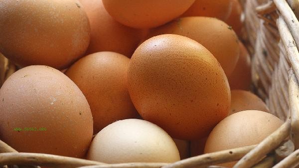 Storage methods for raw eggs