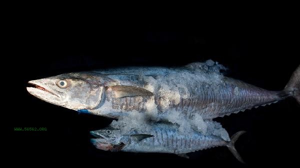 What ingredients are needed for steaming sea bass