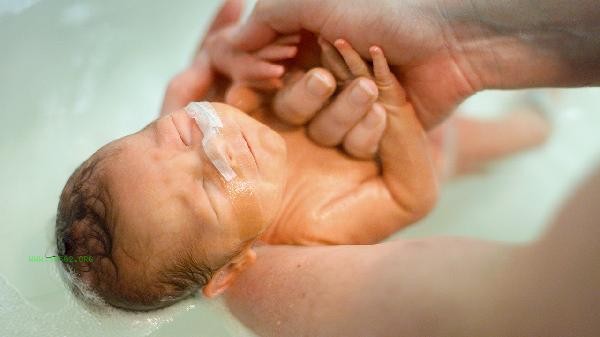 What is the reason for low hemoglobin in premature infants
