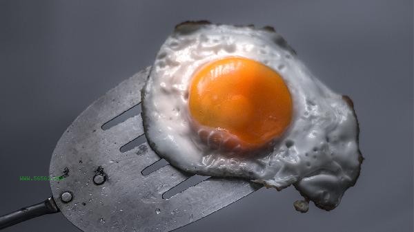 How to store washed eggs