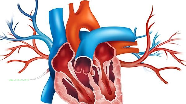 What causes high heart index