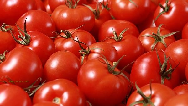 What's the reason for the dull color of tomatoes