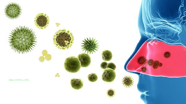 What diseases can high levels of eosinophils cause