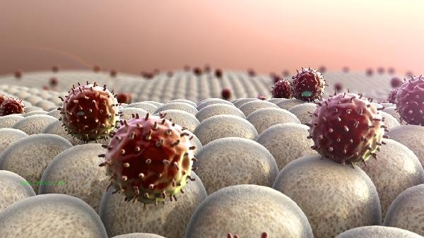 What does high eosinophil count indicate