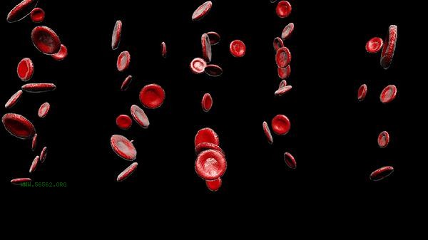 What is the reason for low eosinophil count