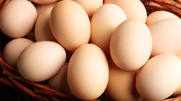 What is the use of drying eggshells in the sun