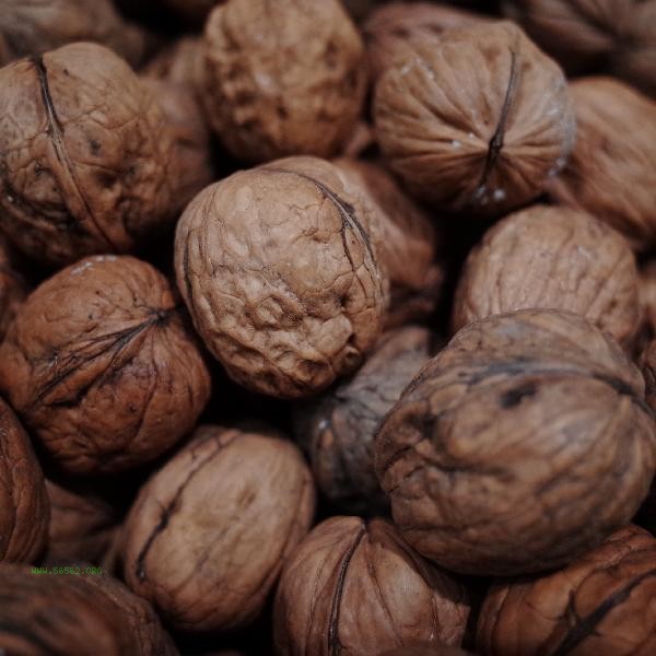 What kind of garbage does walnut shell belong to