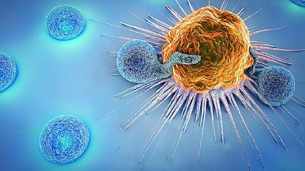 What does a high level of eosinophils indicate