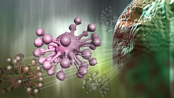 What is a high basophil ratio