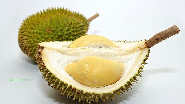 What kind of garbage does durian skin belong to