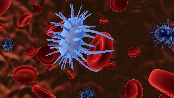 How to detect viral infection on a whole blood test report