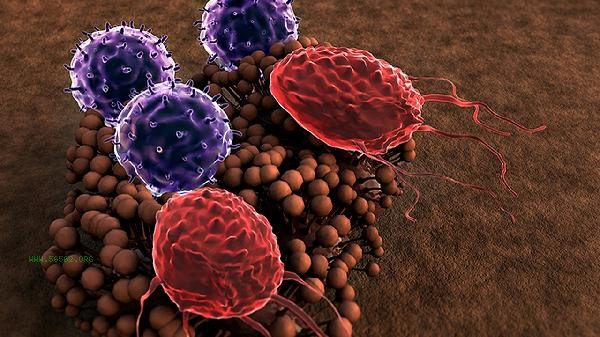 Is eosinophil 0.08 severe