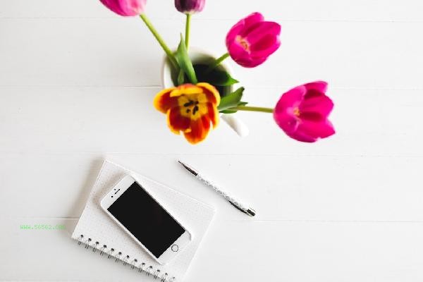 What should parents do if their children love playing with their phones