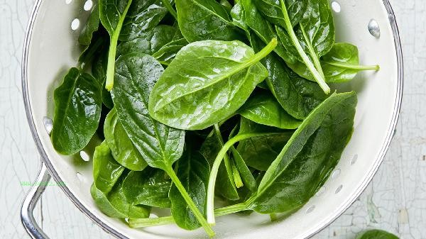 Should spinach be covered with something during winter