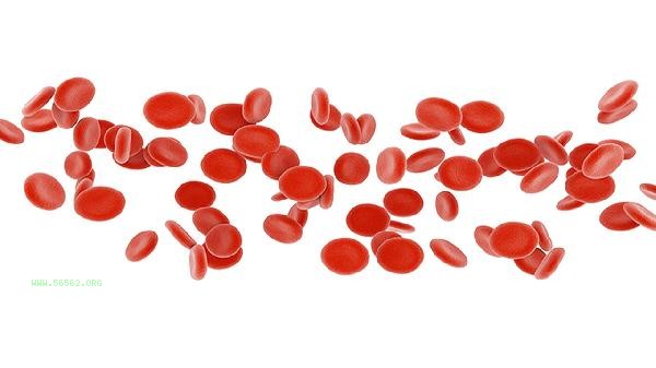 What is the reason for the high average width of red blood cells