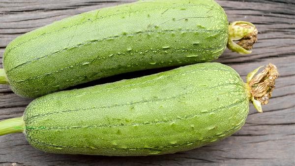 Can loofah be planted continuously in one field