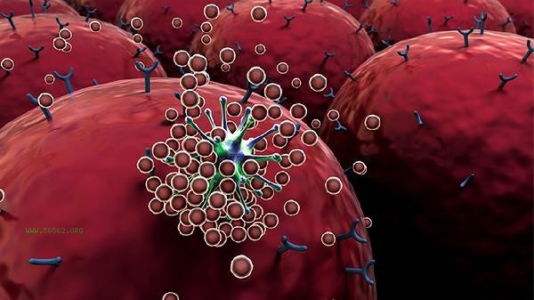 What are the reactions of high eosinophil count