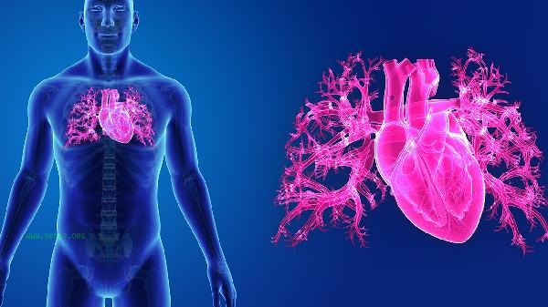 Does frequent running lead to bradycardia