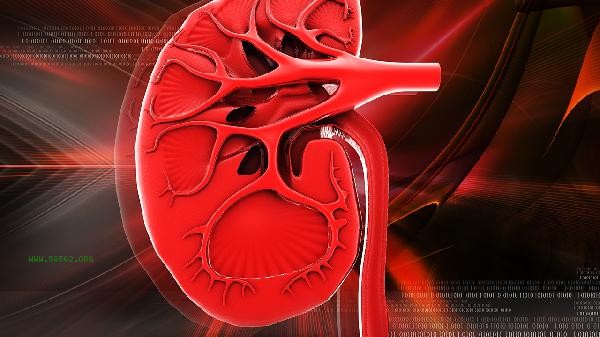 Is renal dysfunction severe