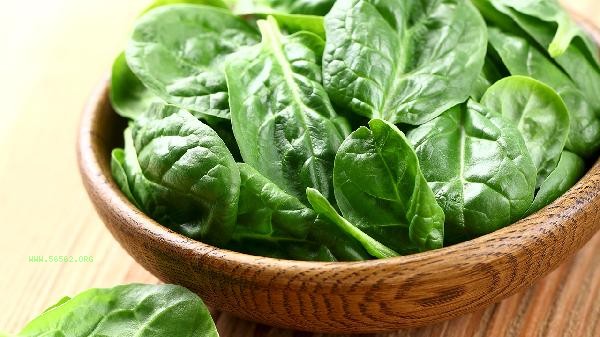 Can spinach be boiled directly into noodles to eat