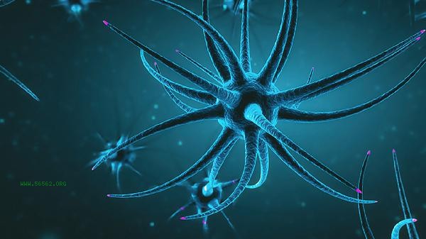 What tumors are associated with neuromuscular syndrome
