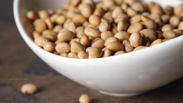 What can be used as a substitute for soybean paste