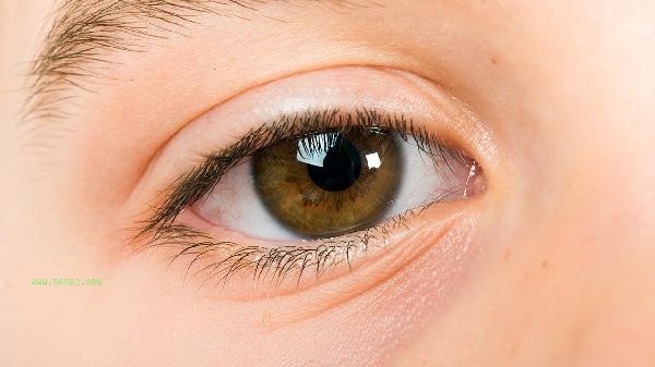 How much does it cost to remove fat from swollen eye blisters