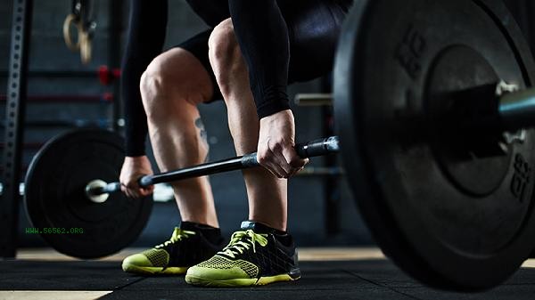 What is the general tuition fee for a fitness academy