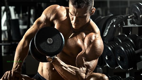 How many calories are suitable for each workout