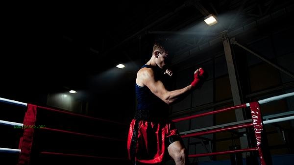 Is it better to eat noodles or rice for fitness