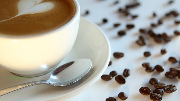 What coffee is better for weight loss before exercise