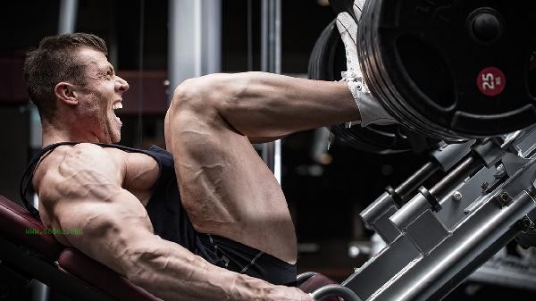 How to eat properly for exercise and fitness to lose weight