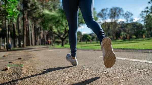 Is it better to eat protein or egg yolk for fitness