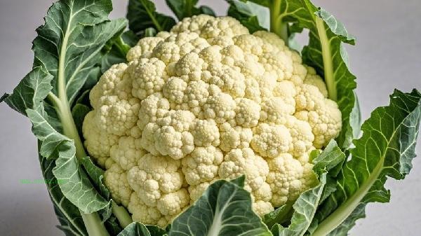 Do cauliflower have parasites?