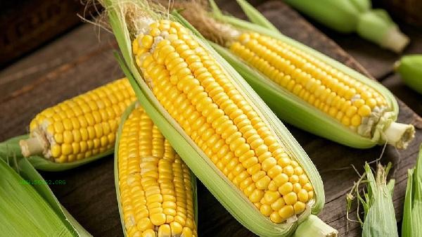 How to judge whether corn is cooked or not
