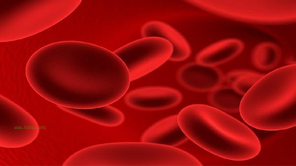 How to use the red blood cell mean diameter detector