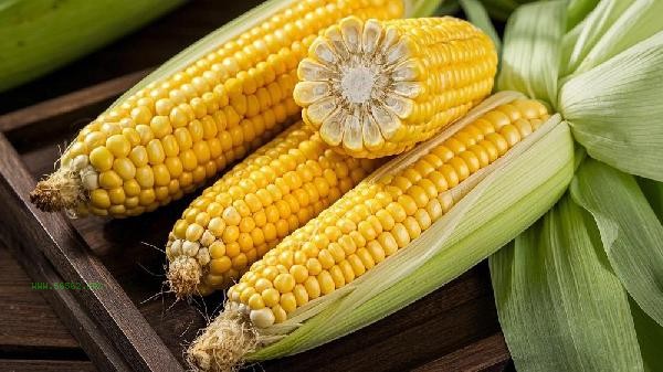 Can the corn cooked in the morning still be eaten at night