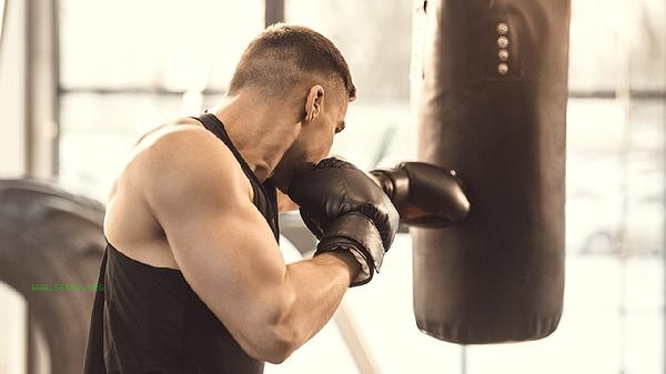 What is the best bread to eat for fitness and muscle building