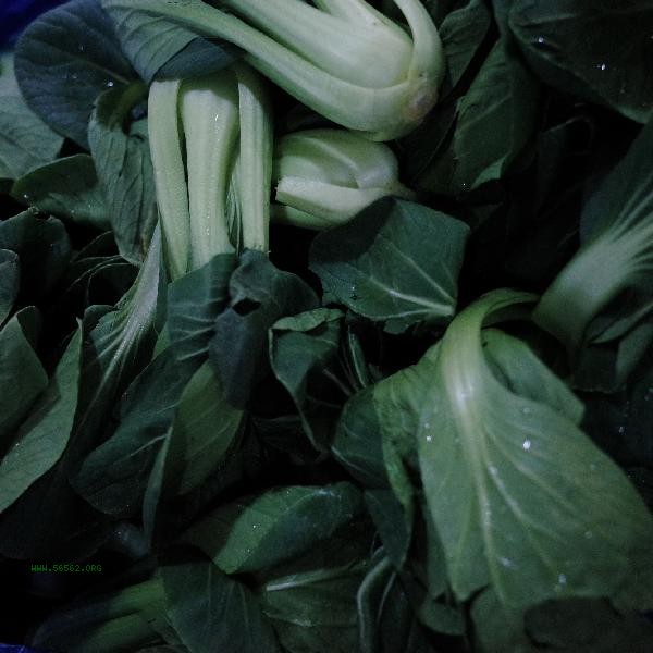 Is it better to have big vegetables or small ones