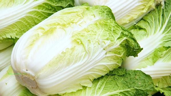What are the vegetables underground