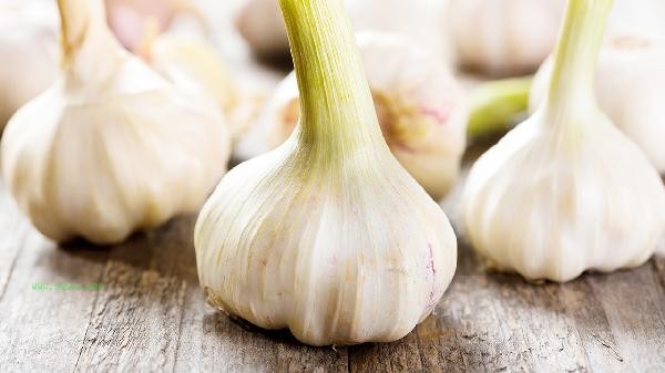 How to find sales channels for vegetable wholesale