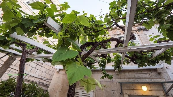 What happens if you eat too many grapes