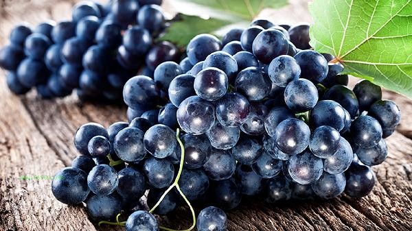 How many degrees are best to preserve grapes