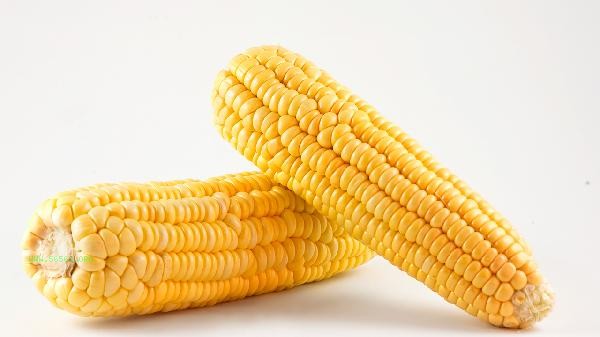 How many minutes can sticky corn be cooked