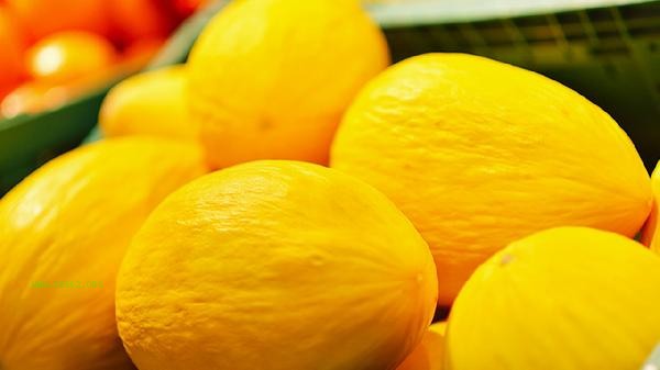 Is the reticulated melon a type of cantaloupe
