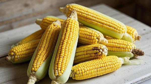 Can frozen corn still be cooked and eaten when it softens after thawing