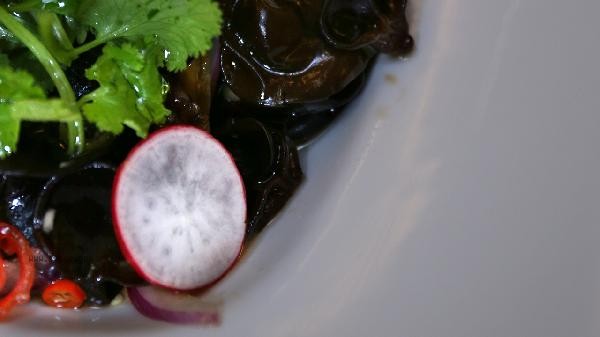 Can the cooked fungus be eaten overnight