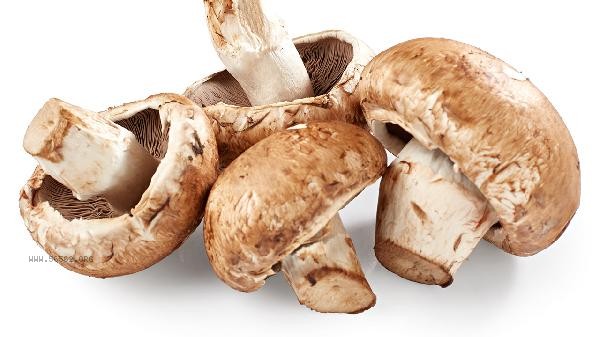 What are the main components of shiitake mushrooms
