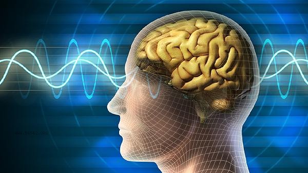 Is the Brain Memory Training Method True