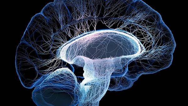 How to improve memory if brain memory is too poor